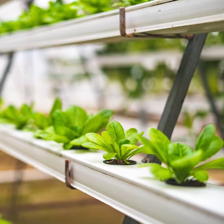 kit wholesale pvc agricultural commerce sistema hidropnico nft growing racks vertical growing hydroponic system