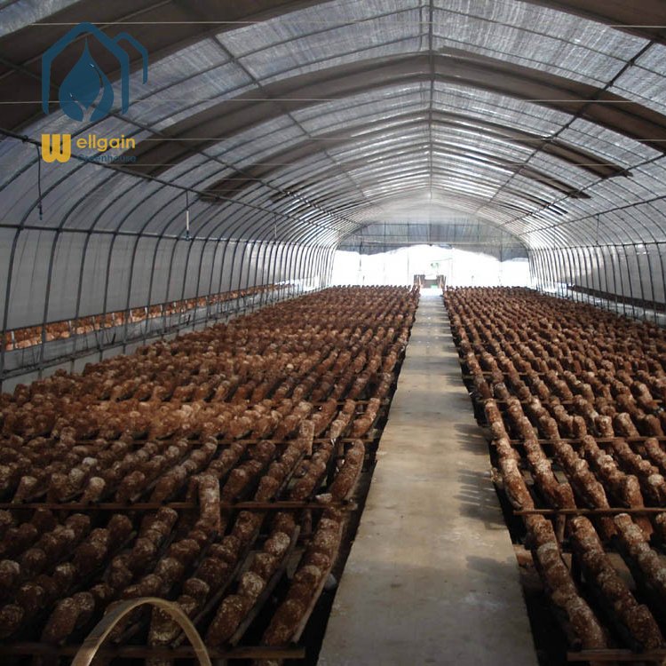 Best selling agricultural blackout greenhouse hemp light deprivation greenhouse