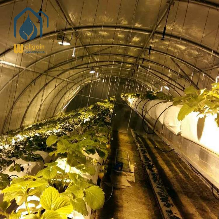 Best selling agricultural blackout greenhouse hemp light deprivation greenhouse