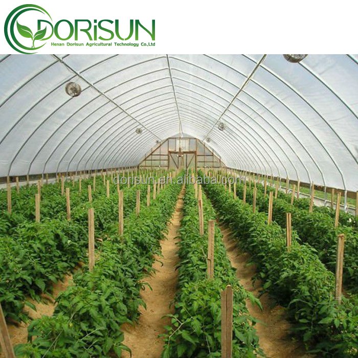 Economical Greenhouse with Cooling System For Vegetable Grow Tents Agricultural Mushroom Tunnel Greenhouse
