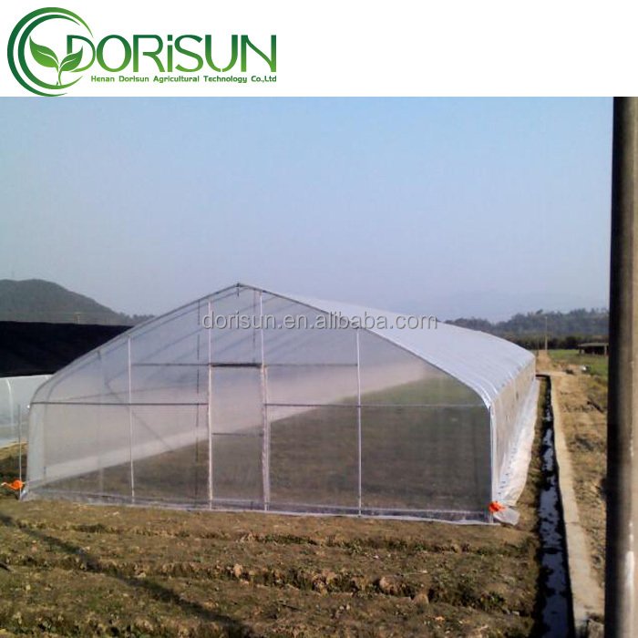 Economical Greenhouse with Cooling System For Vegetable Grow Tents Agricultural Mushroom Tunnel Greenhouse