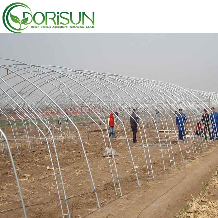 Economical Greenhouse with Cooling System For Vegetable Grow Tents Agricultural Mushroom Tunnel Greenhouse