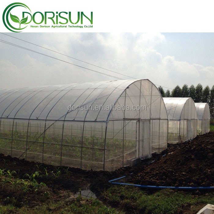 Economical Greenhouse with Cooling System For Vegetable Grow Tents Agricultural Mushroom Tunnel Greenhouse