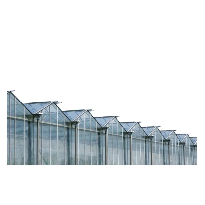 Tomato Vegetable Hydroponic Greenhouse Large Galvanized Steel Multi-Span Four-Week Automated PC Sheet PP Agriculture