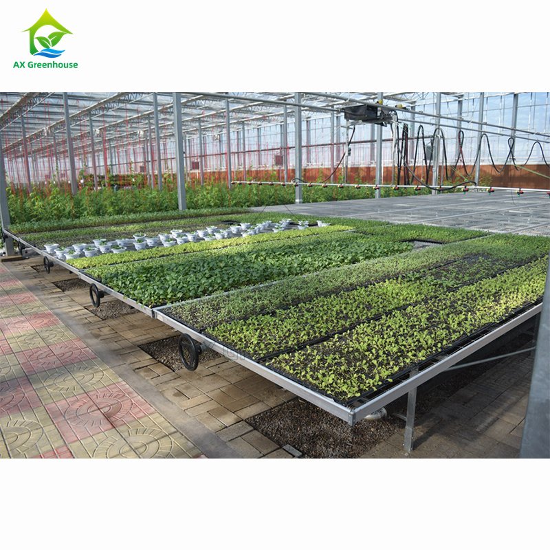 Greenhouse Hydroponic Projects Culturing Ebb Flow Benches Table Seedbed Rolling Bench
