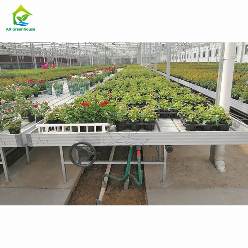 Greenhouse Hydroponic Projects Culturing Ebb Flow Benches Table Seedbed Rolling Bench