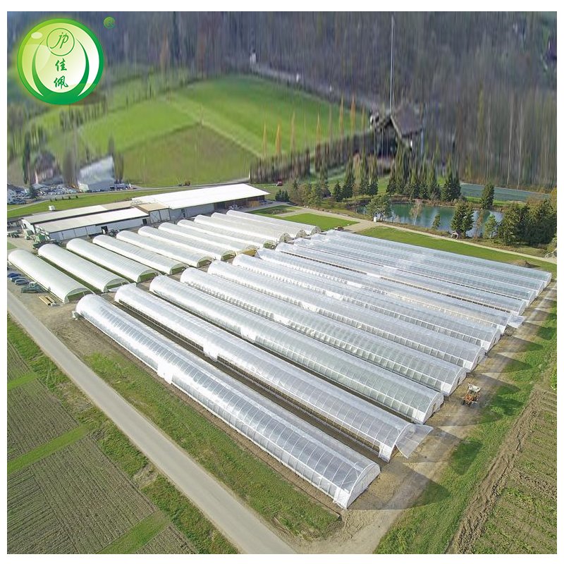 Vegetable agricultural green house Single-Span PE Plastic Film Greenhouses Poly tunnel greenhouse for sale