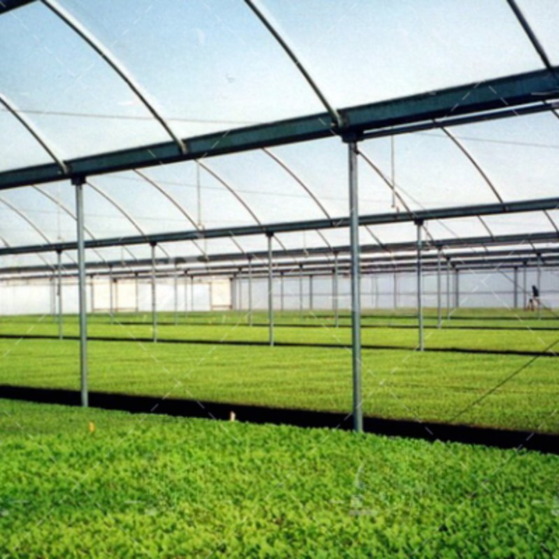 Hot Selling Good Price Vegetable Garden Greenhouse with Cooling System for South America/Africa/Turkey/Indonesia