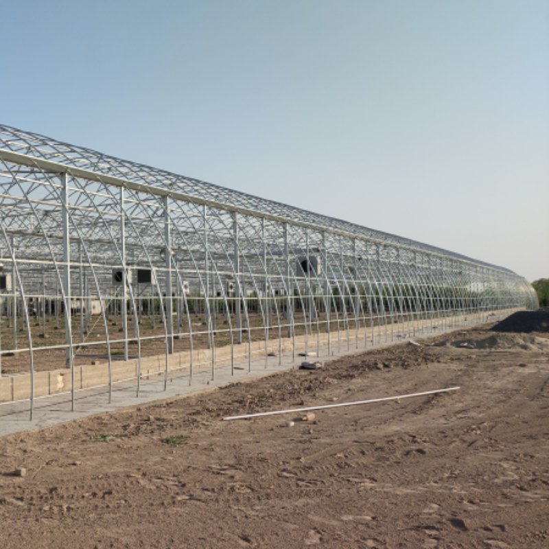 Hot Selling Good Price Vegetable Garden Greenhouse with Cooling System for South America/Africa/Turkey/Indonesia