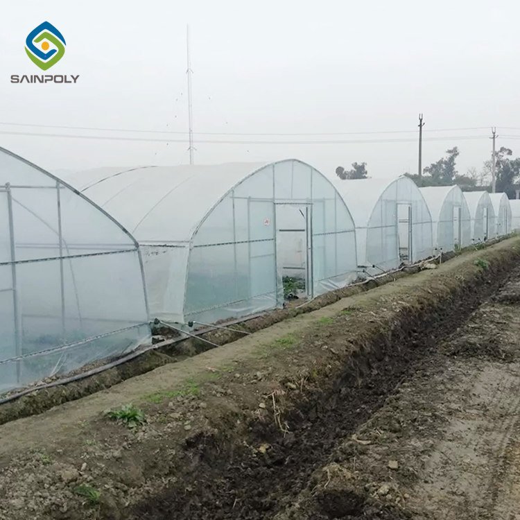 Hoop greenhouse tent nursery agricultural tunnel greenhouse