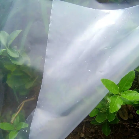 Waterproof Transparent PE/PO Plastic Film For agriculture
