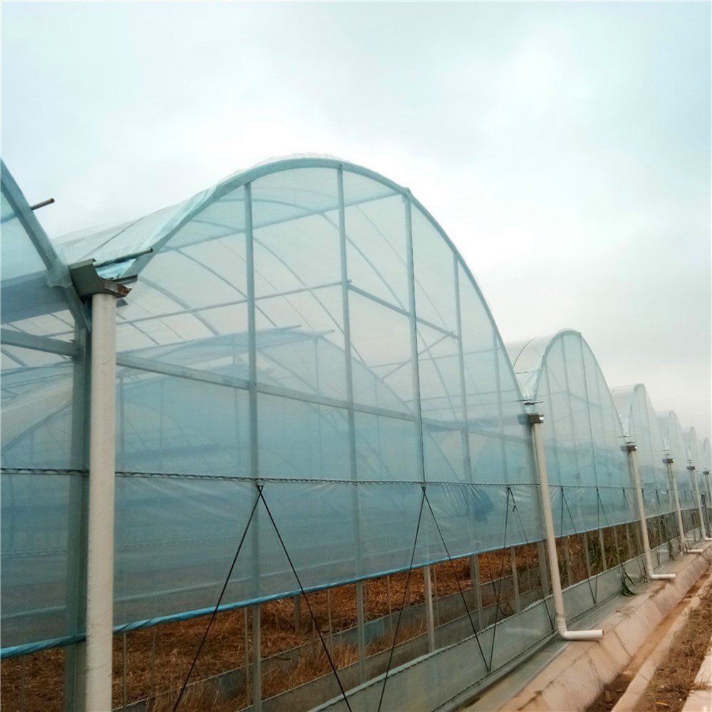 Waterproof Transparent PE/PO Plastic Film For agriculture