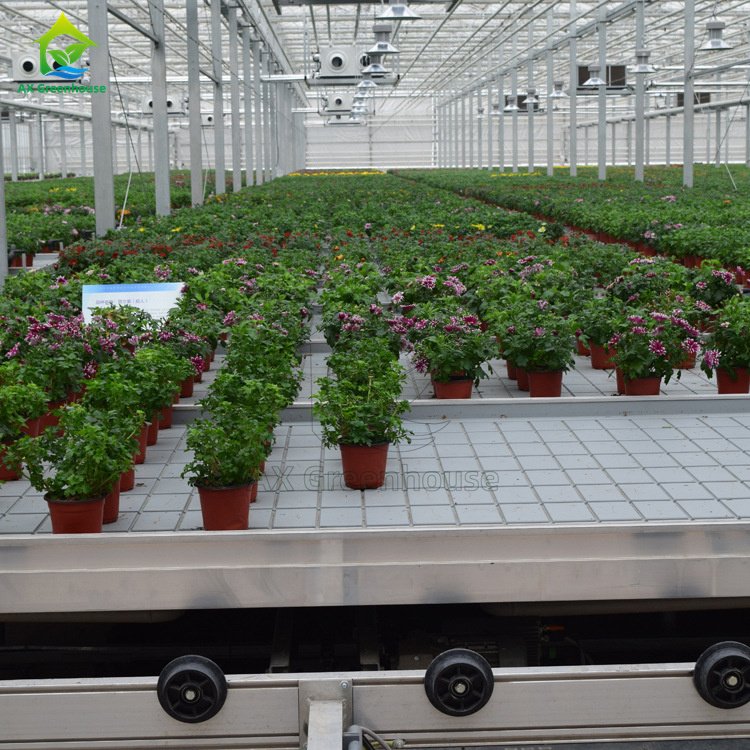 Hydroponic Systems Expanded Metal Mesh Greenhouse Rolling Bench/Table