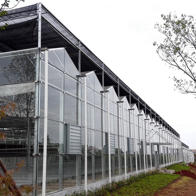 Nursery hothouse solar conservatory agriculture glasshouse lean to green house winter greenhouse