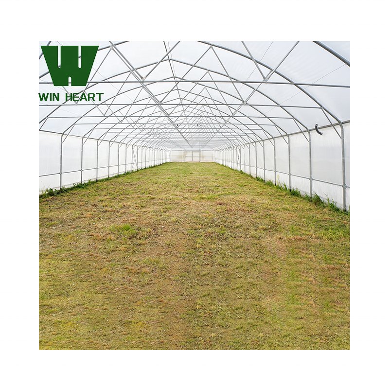 Hot-Galvanized Frame Single Tunnel Greenhouse For Growing Vegetables