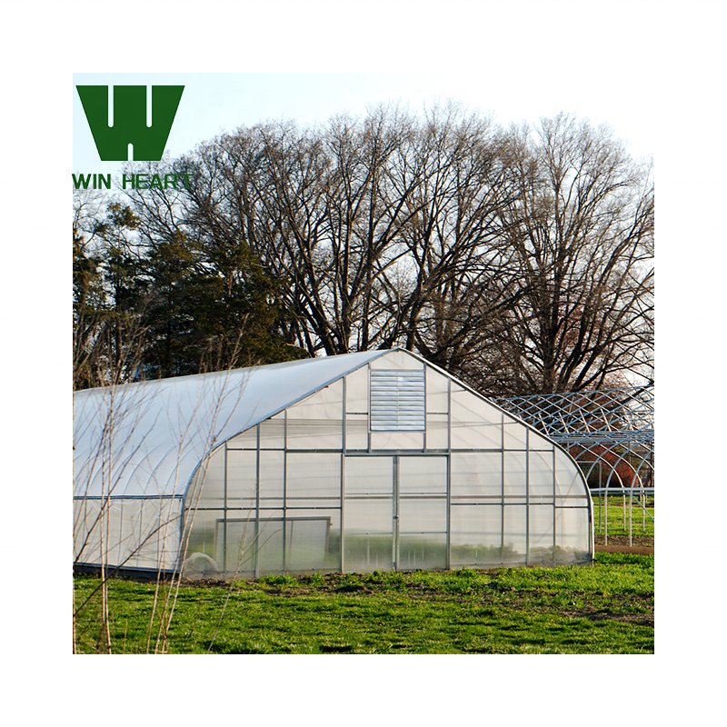 Hot-Galvanized Frame Single Tunnel Greenhouse For Growing Vegetables