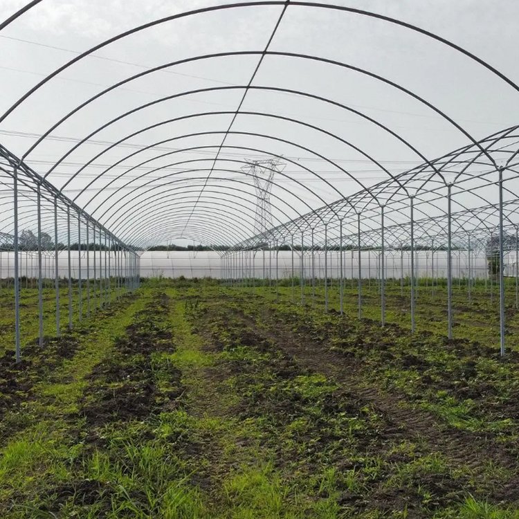 tomato greenhouse serre agricole hydroponics commercial greenhouse for saleprice agriculture equipment sale for greenhouse hous