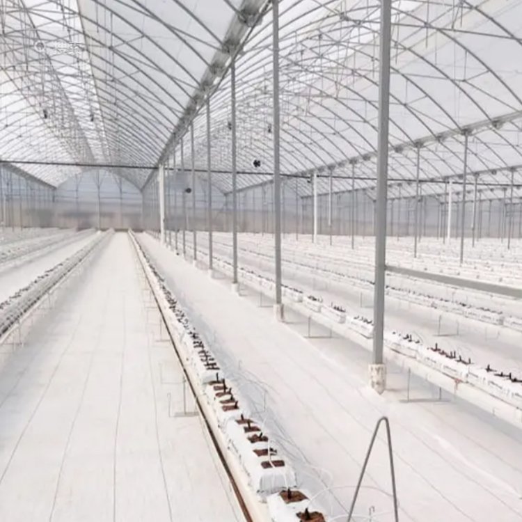 tomato greenhouse serre agricole hydroponics commercial greenhouse for saleprice agriculture equipment sale for greenhouse hous
