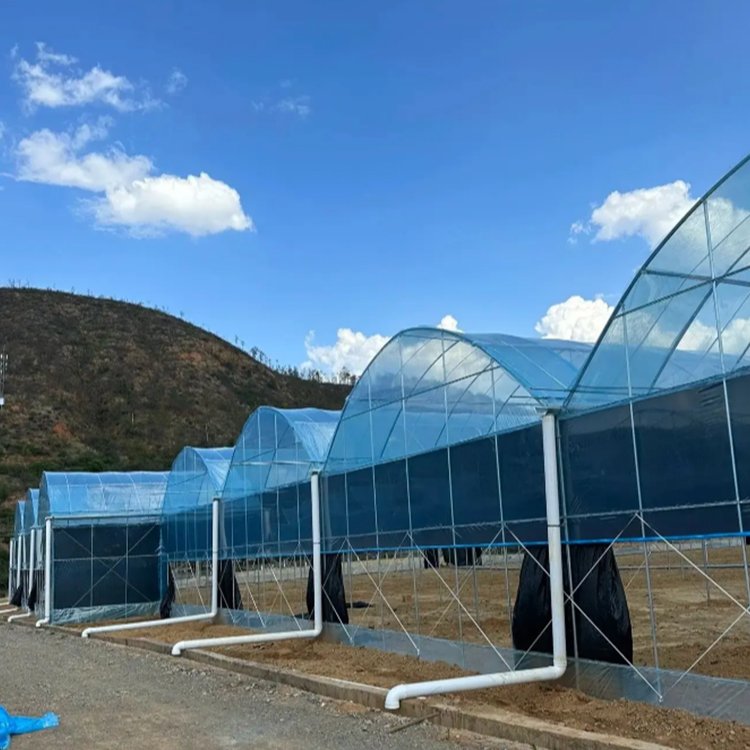 tomato greenhouse serre agricole hydroponics commercial greenhouse for saleprice agriculture equipment sale for greenhouse hous