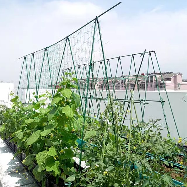 Garden Plant Climbing stake Plastic Coated Plant Support Pole steel Tomatoes Cucumber Supporting Sticks
