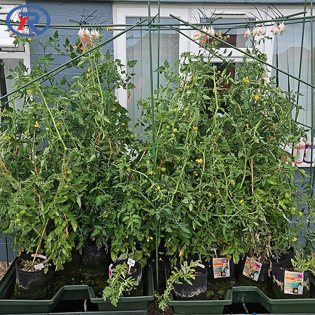 Garden Plant Climbing stake Plastic Coated Plant Support Pole steel Tomatoes Cucumber Supporting Sticks