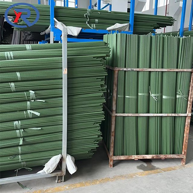 Garden Plant Climbing stake Plastic Coated Plant Support Pole steel Tomatoes Cucumber Supporting Sticks