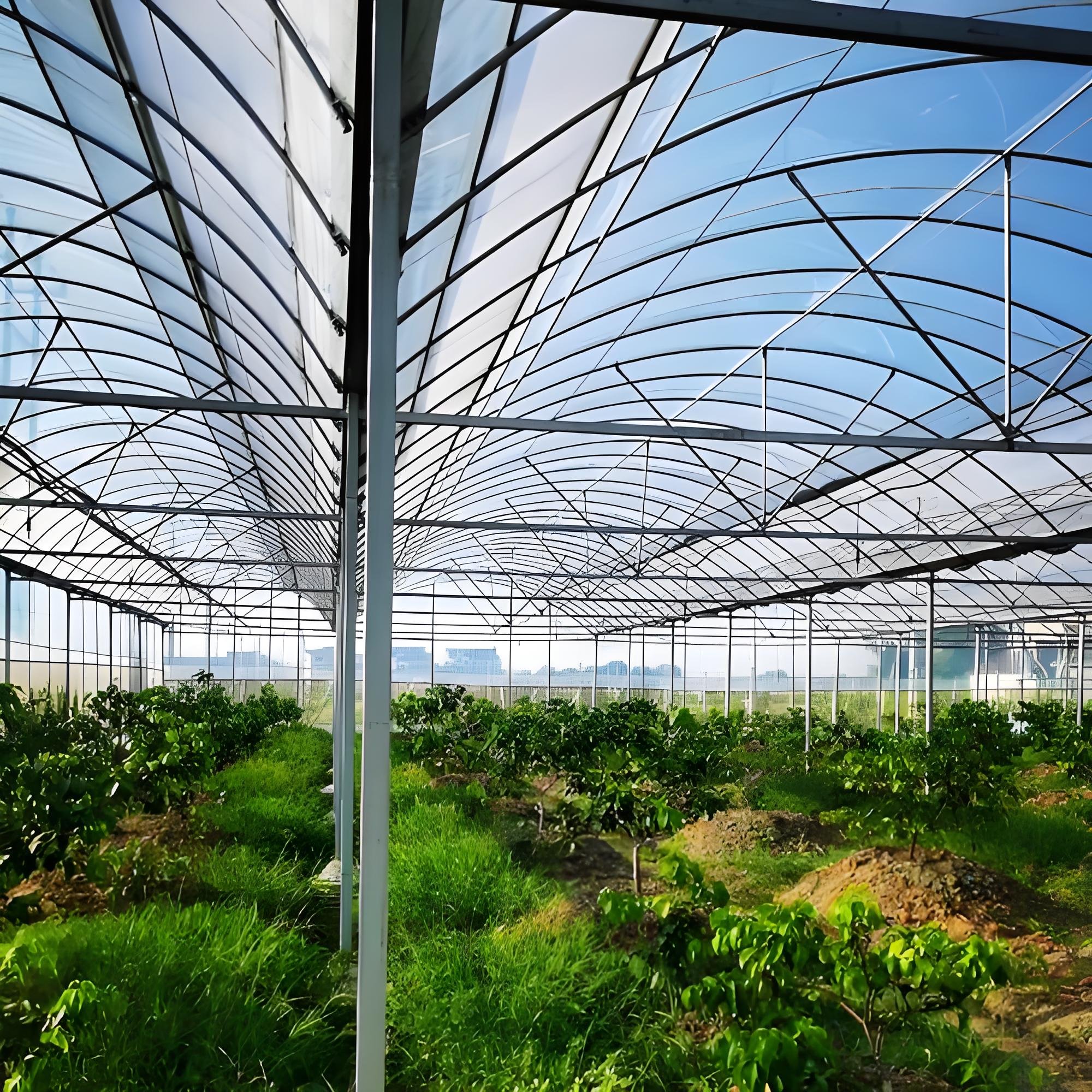 Greenhouse Film Plastic PE Film UV Resistant Horticulture Covering Film Factory Supply