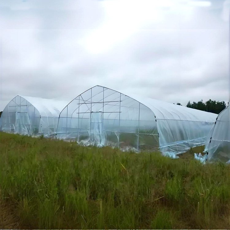 Greenhouse Film Plastic PE Film UV Resistant Horticulture Covering Film Factory Supply