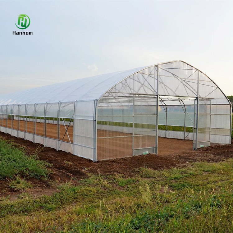 Single arch shed frame single span high tunnel tomato plastic agricultural greenhouse for sale