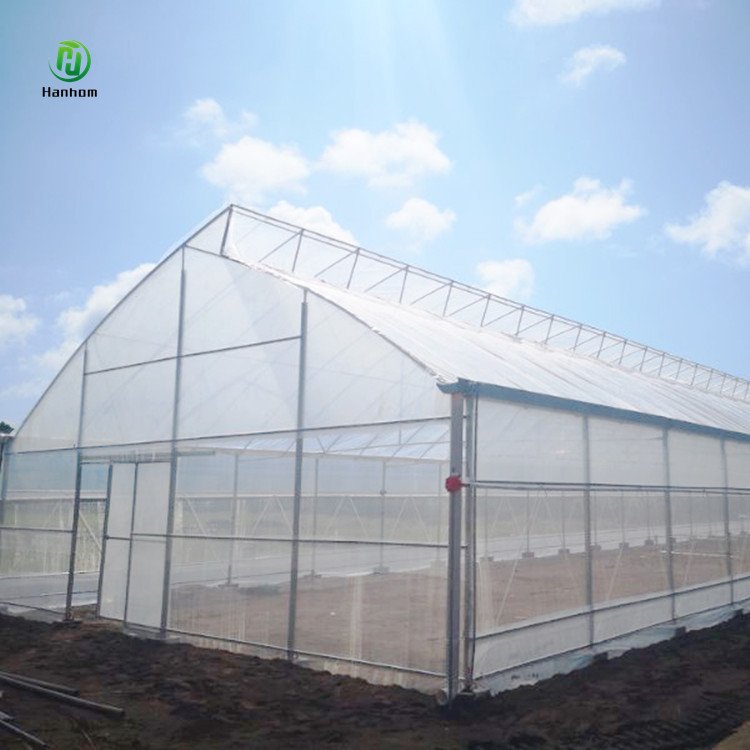 Single arch shed frame single span high tunnel tomato plastic agricultural greenhouse for sale
