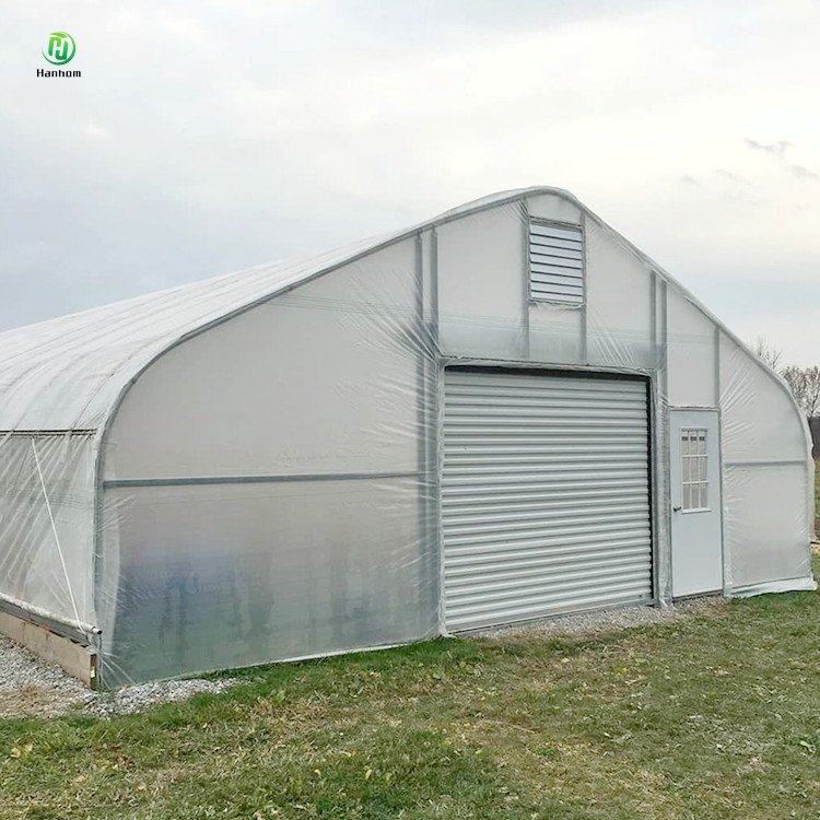 Single arch shed frame single span high tunnel tomato plastic agricultural greenhouse for sale