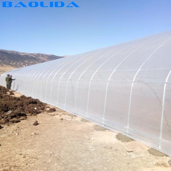Manufacturer best price agricultural tunnel greenhouse single span farming tent for sale
