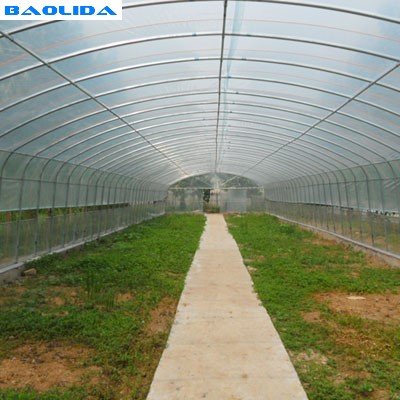 Manufacturer best price agricultural tunnel greenhouse single span farming tent for sale
