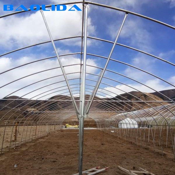 Manufacturer best price agricultural tunnel greenhouse single span farming tent for sale