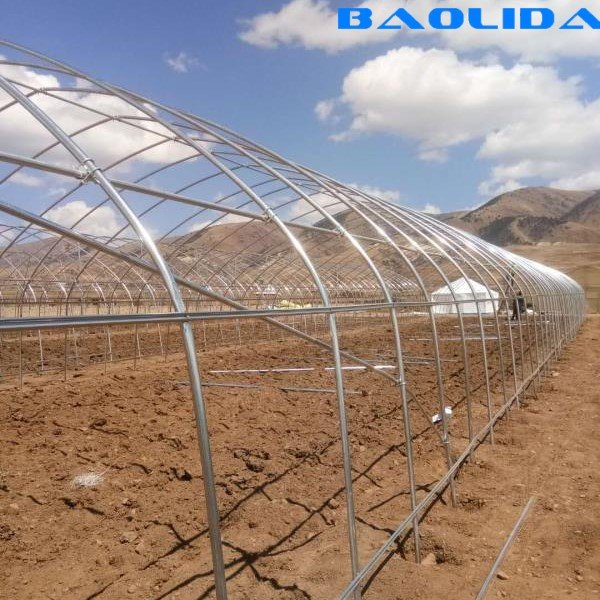 Manufacturer best price agricultural tunnel greenhouse single span farming tent for sale