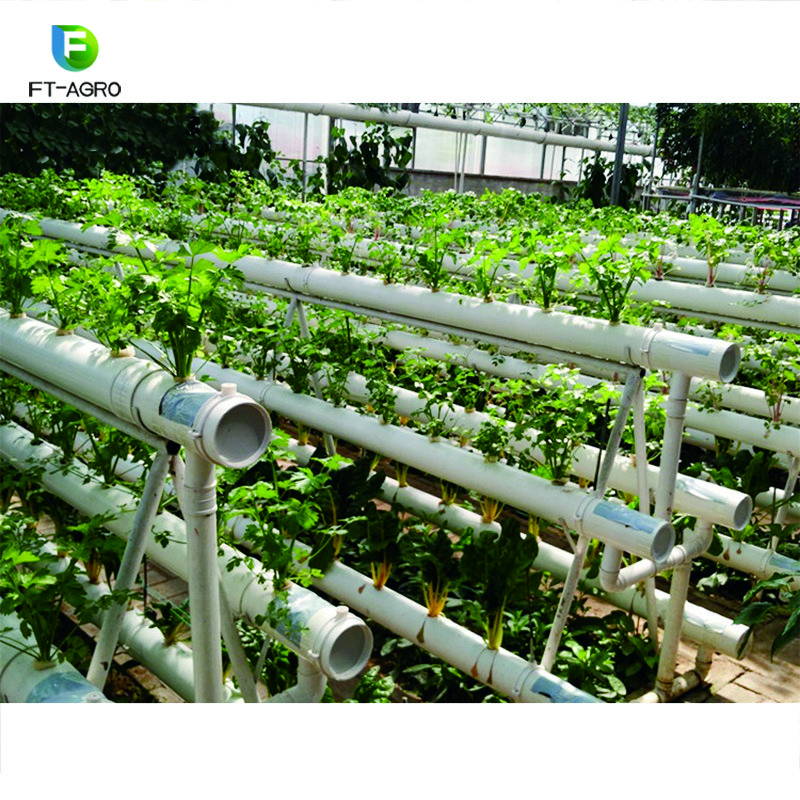 The commercial professional cheapest NFT hydroponics system greenhouse for sale