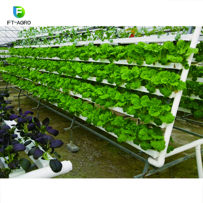 The commercial professional cheapest NFT hydroponics system greenhouse for sale