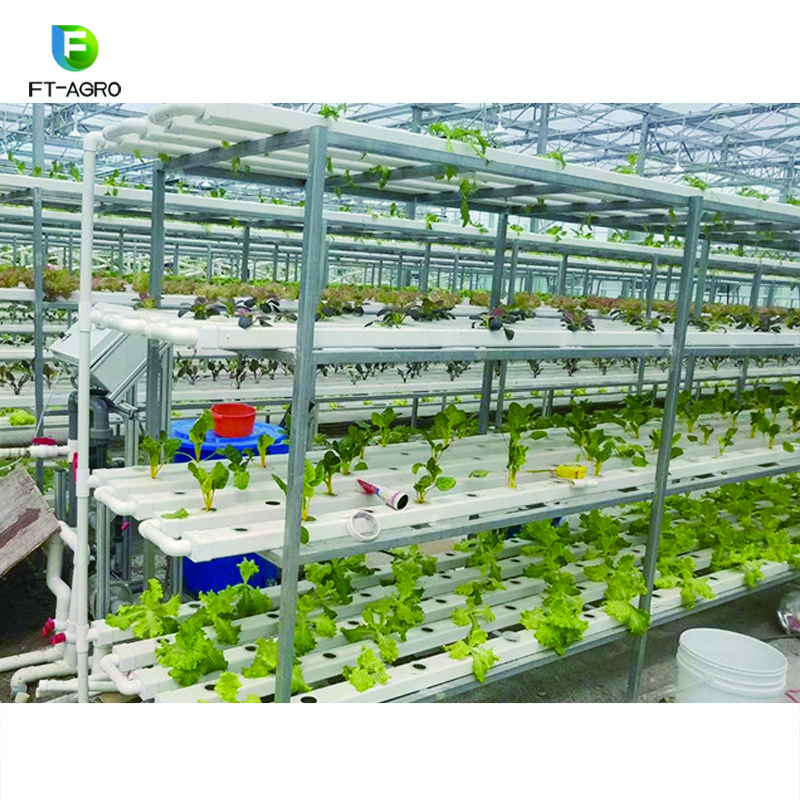 The commercial professional cheapest NFT hydroponics system greenhouse for sale