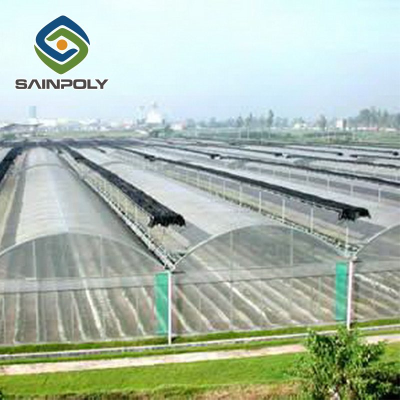200 Micron UV Resistant PE Film Greenhouse For Vegetables Large Agricultural Plastic Cover Frame House Sale