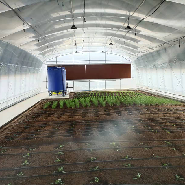 Nursery Low Cost Poly Film Tunnel Single Span Plastic Shed Customized Greenhouse For Sale