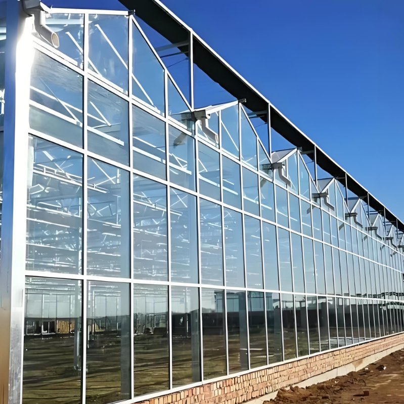 Customizable Large Tomato Hydroponic Planting System Square Pattern Double PE Steel Multiple Glass Polycarbonate Greenhouses