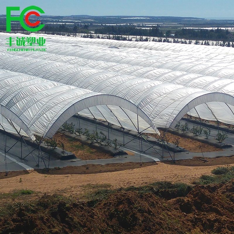 200 micron reinforced woven pe plastic greenhouse film/plastic sheet greenhouse cover/woven greenhouse fabric for agriculture