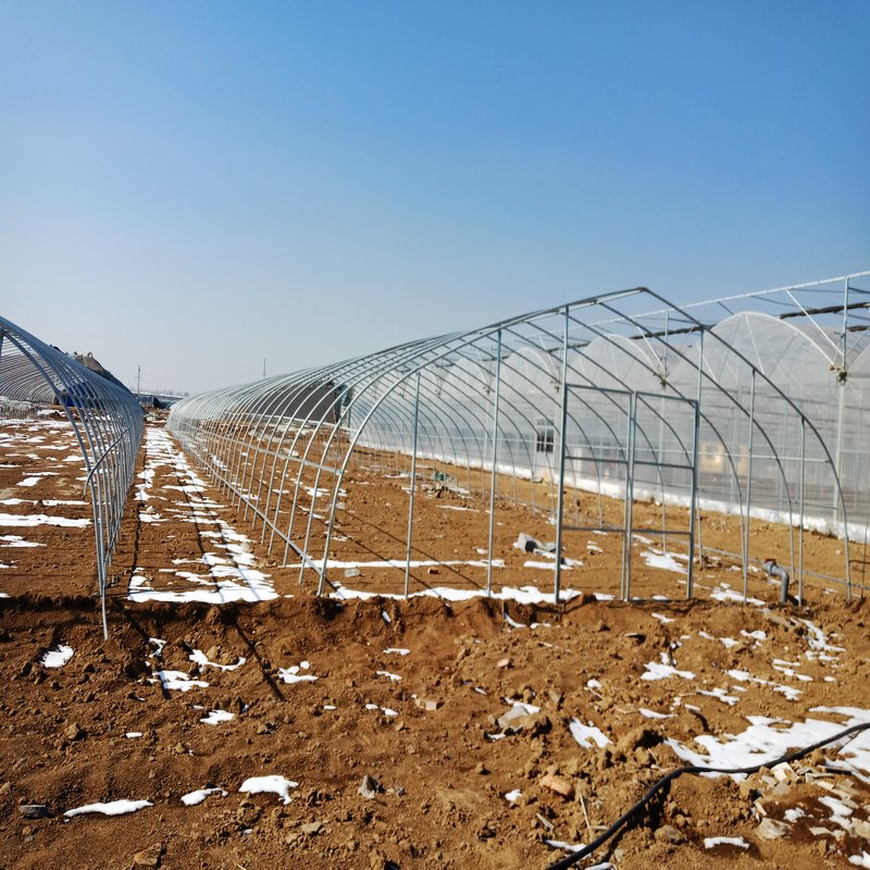 Agriculture hydroponic tunnel irrigation system greenhouse