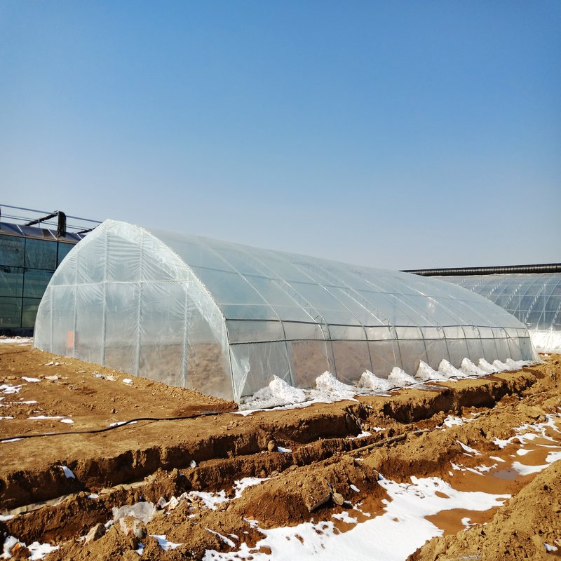 Agriculture hydroponic tunnel irrigation system greenhouse