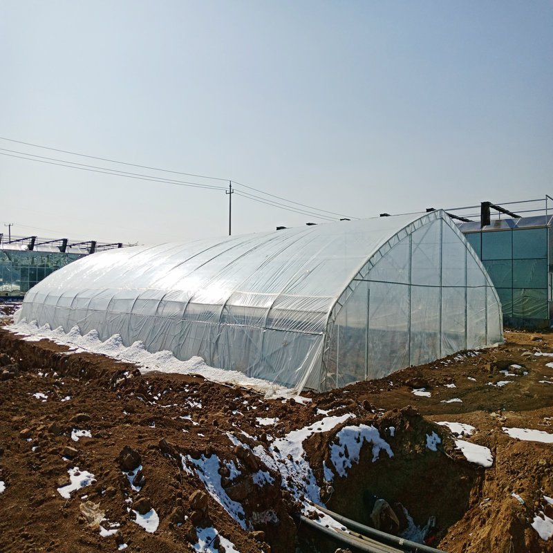 Agriculture hydroponic tunnel irrigation system greenhouse