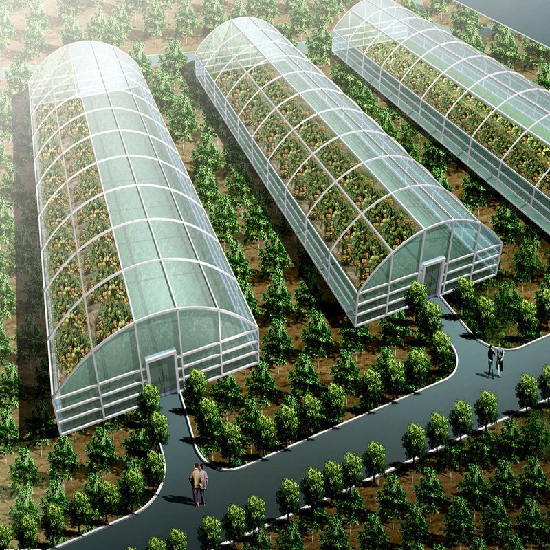 Agriculture hydroponic tunnel irrigation system greenhouse
