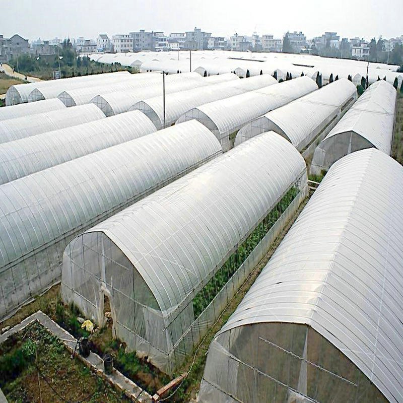 Agriculture hydroponic tunnel irrigation system greenhouse