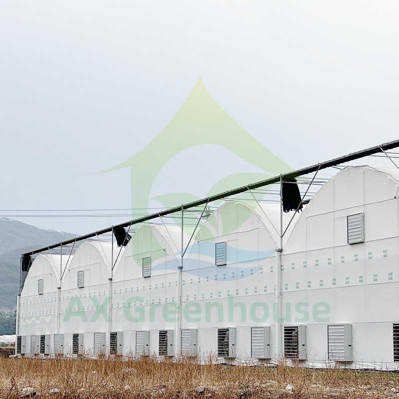 Wholesale Commercial Low Cost Multi-span Tunnel Plastic Film Blueberry Agricultural Greenhouse Drying House For Vegetable