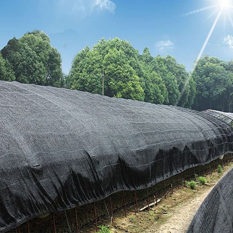HDPE Agricultural 3Needle 6Needle Raschel Black Sun-Shade Net Green Shade Cloth for Greenhouse/Hoticulture/Vegetable/Garden