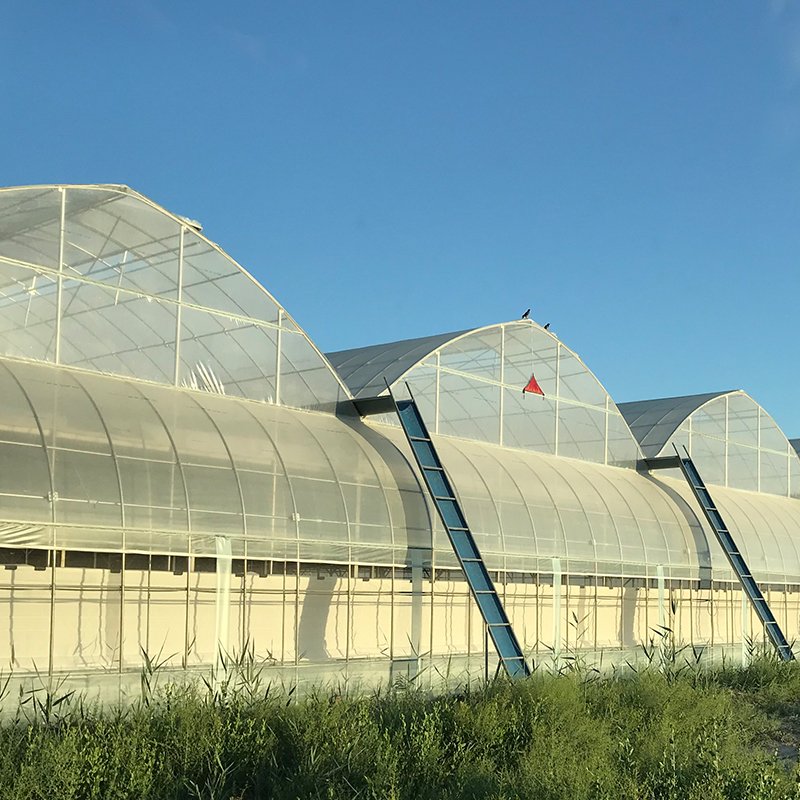 Mode Film Sheet Greenhouse with Tomato Growing System Large Inside or Outside Shading System Factory Price Professional Korean